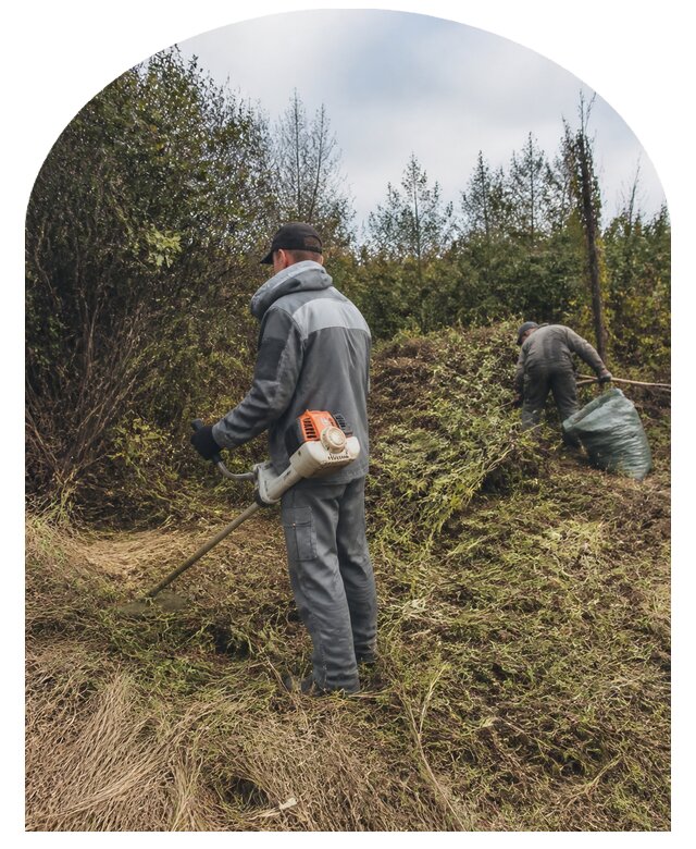 Расчистка заросшего участка от кустарника и поросли в Рузаевке