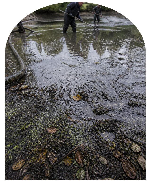 Очистка пруда в Рузаевке от ила мусора и водорослей с вывозом